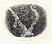 Image to follow