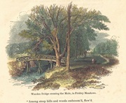 Image to follow