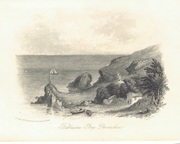 Image to follow